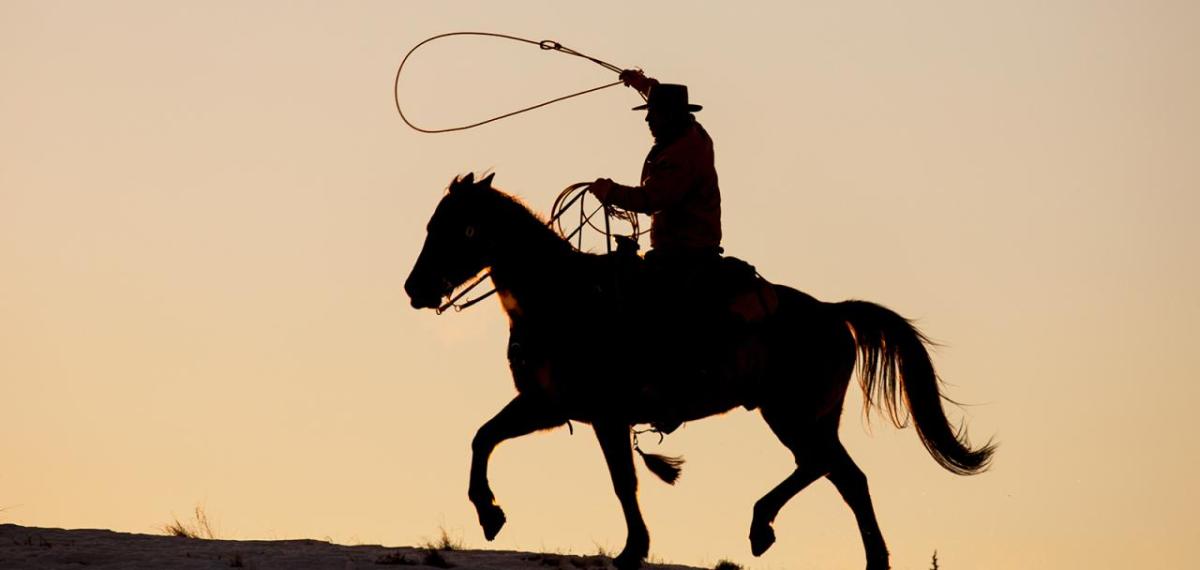 Rider on horse with lasso