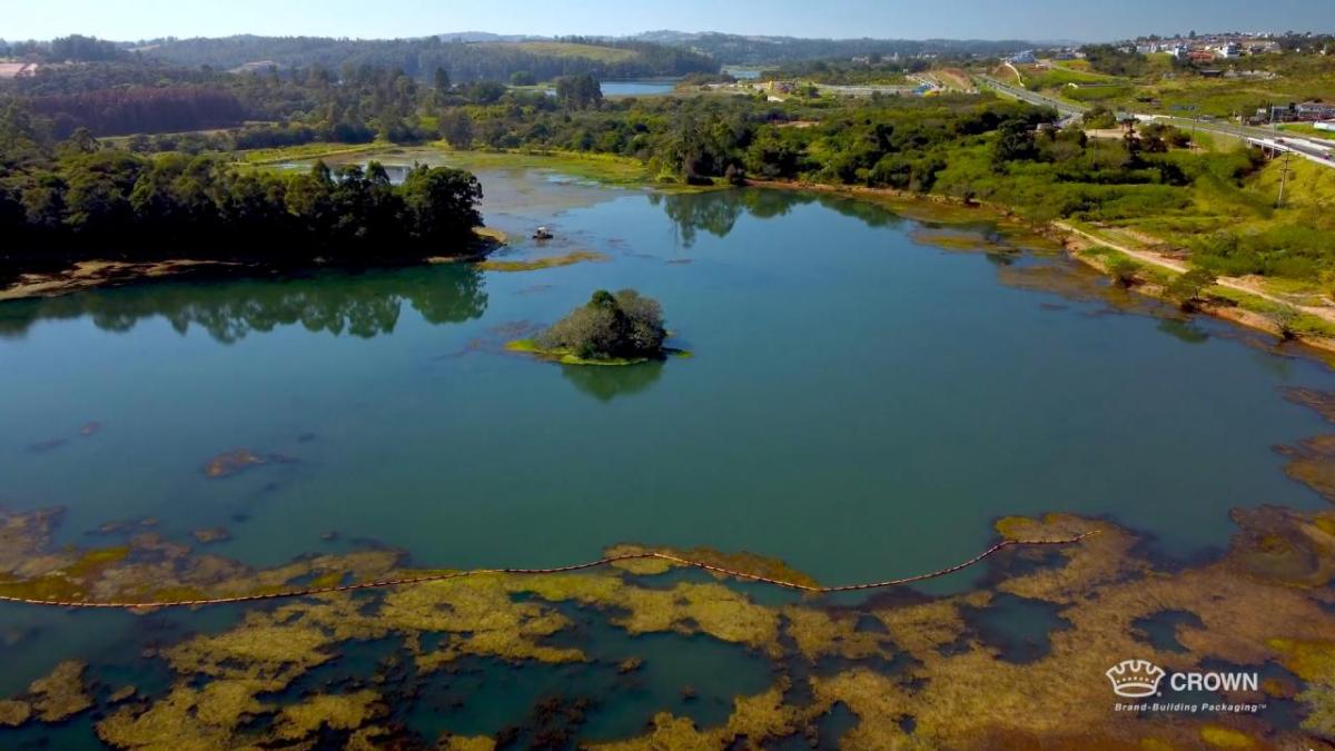 Aerial view of a wetland area