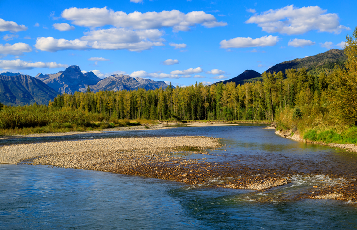 Steelmaking coal mines in the Elk Valley of British Columbia are using microbes to help remove up to 99% of the selenium content from treated water, so it doesn't end up in the local waterways. 