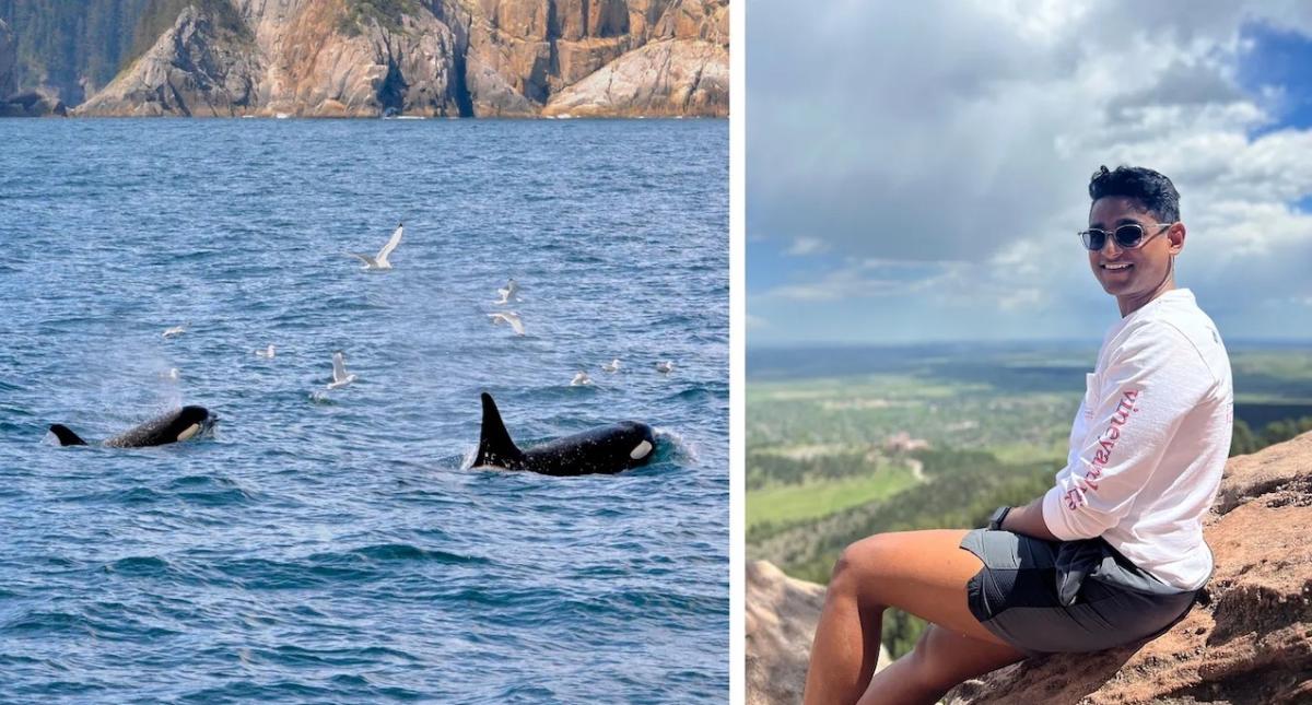 Photo of Tanishq on a mountain and a group of whales.