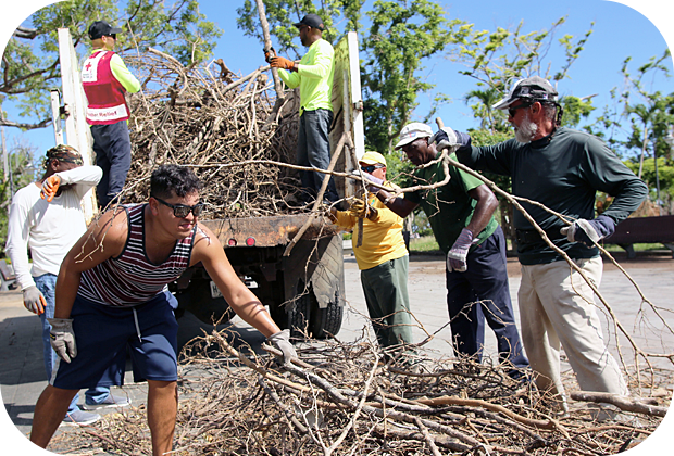 volunteers loading a truck with sticks