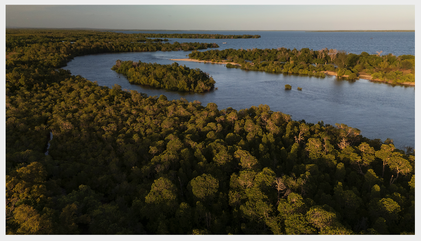 Vanga Blue Forest in Kenya