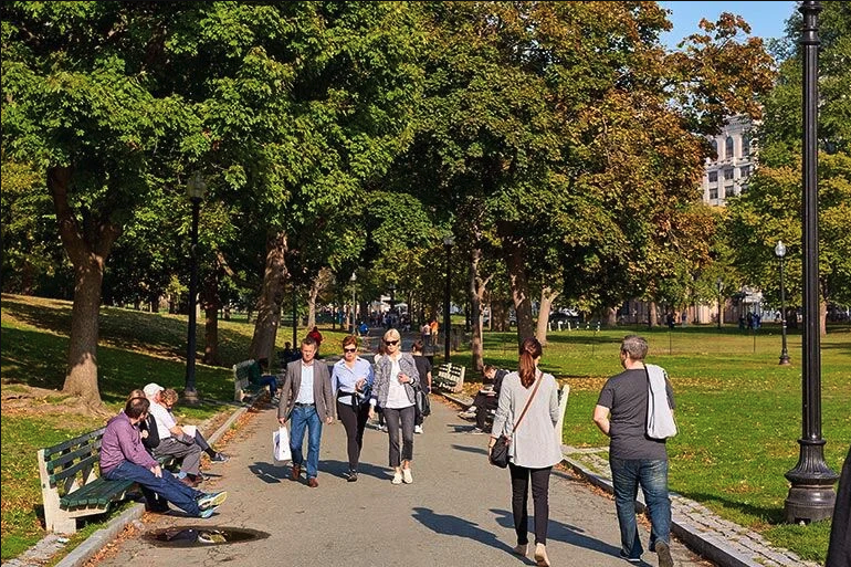 green space with people 