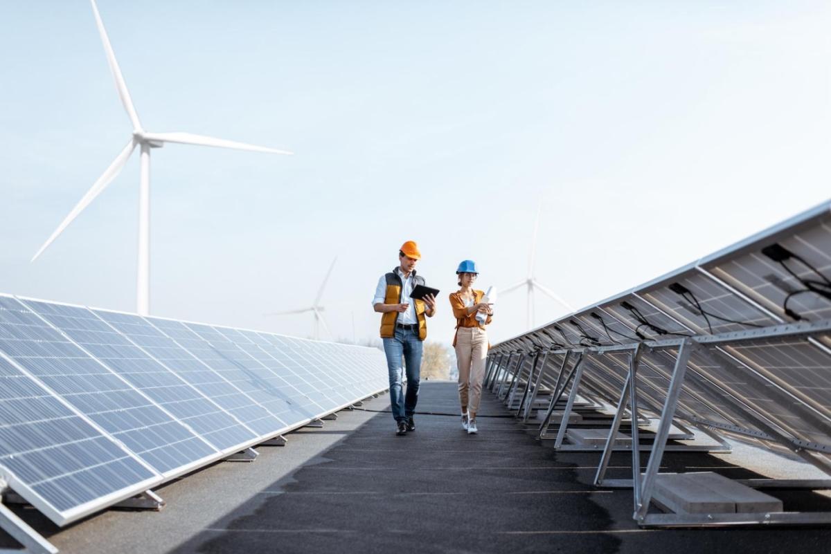 workers walking along solar panels