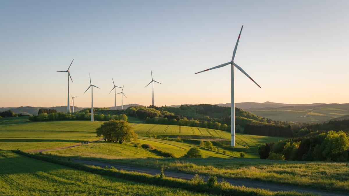 Field with windmills shown with the sun setting in the background.