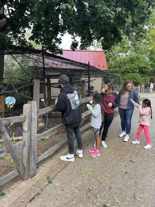 Family visiting animals in a paddock at the zoo.