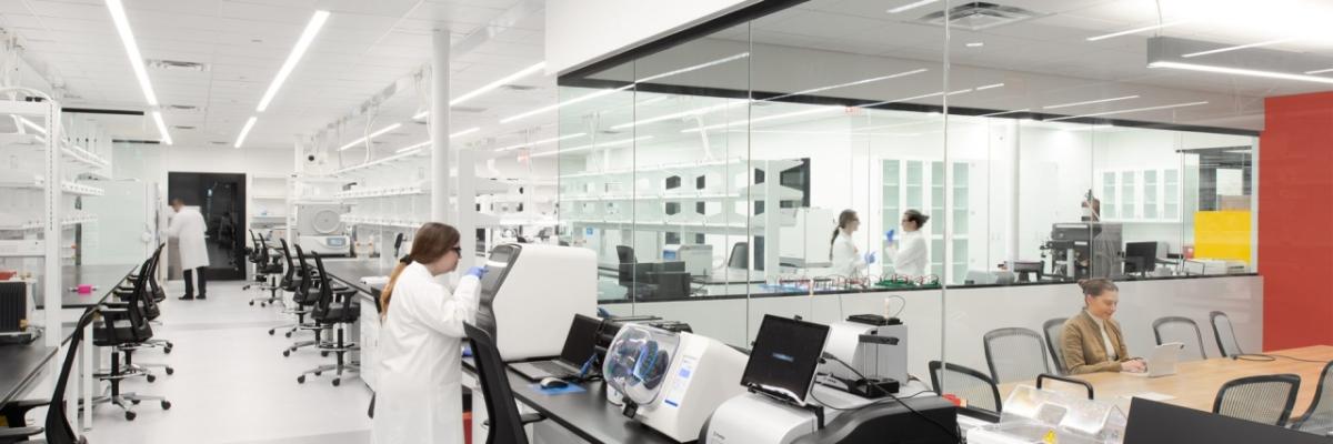 Lab office space, empty shelves and office chairs at many stations. A person in a connected office space.