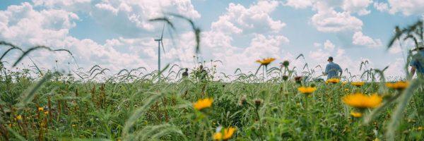 People standing in a field of tall grasses and flowers.