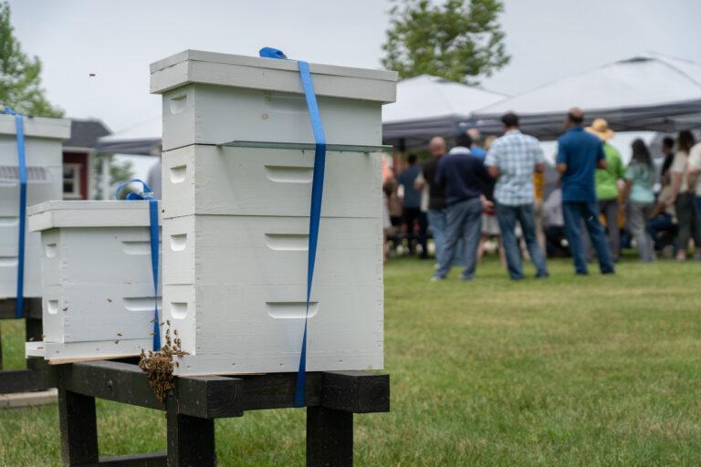 Beehives and a group gathered under a tent behind them.