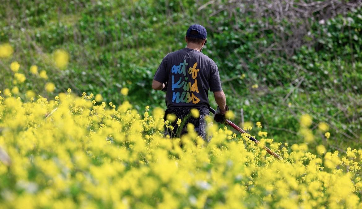 A person with their back to the camera in a field of yellow flowers. They are wearing a shirt with "the art of kindness" on the back.