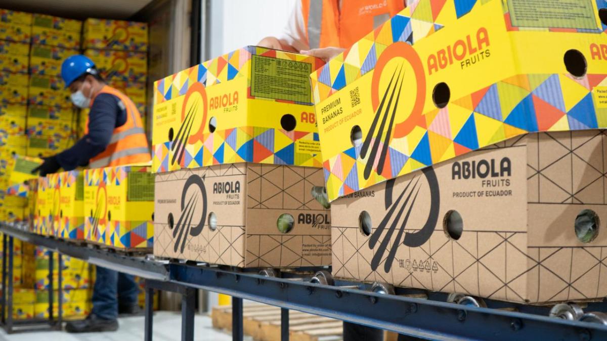 Boxes of bananas on a conveyor belt leading to the back of a trailer. 