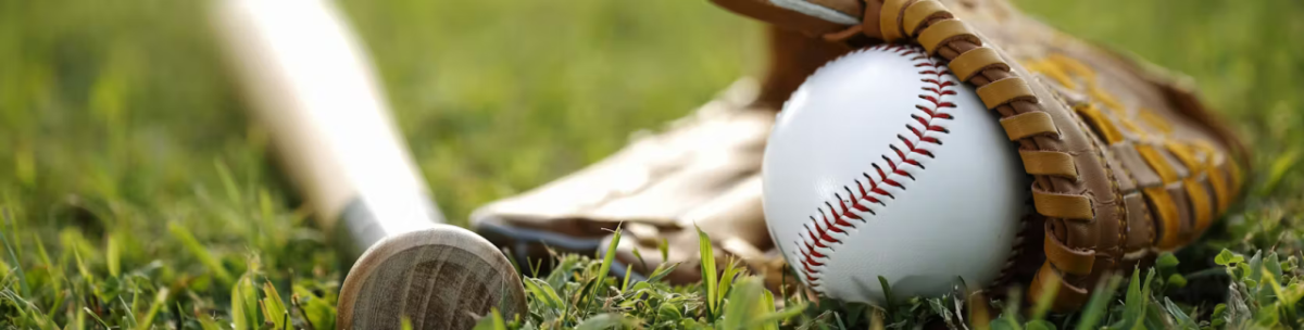 Close up of a baseball bat, glove and ball on grass.