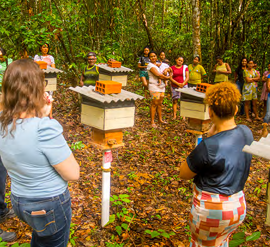 A group of people surrounding beehives on poles.