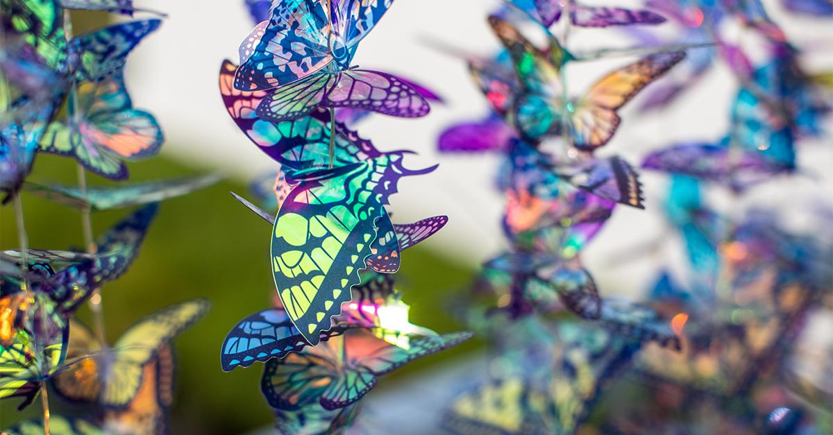 3M™ Dichroic Film Butterflies