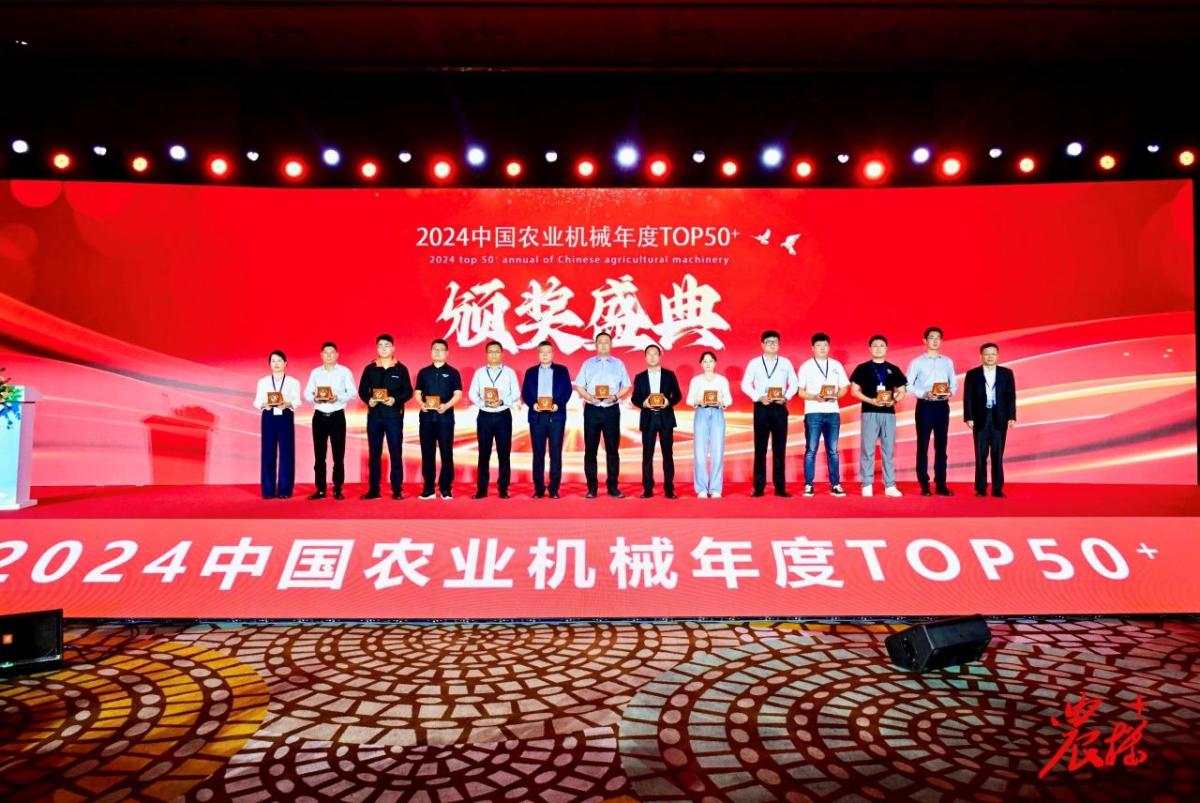 People posed in a row on a stage, each holding an award.