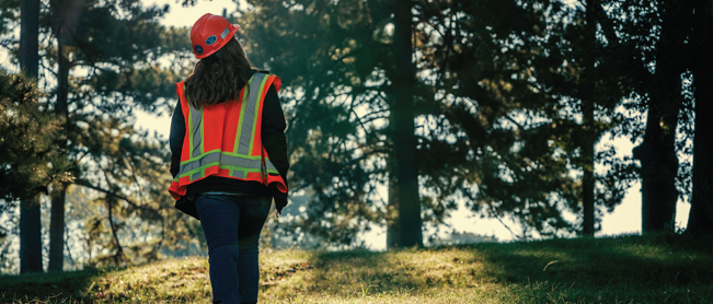 A person in hard hat and high-vis vest walking away through a forested area.