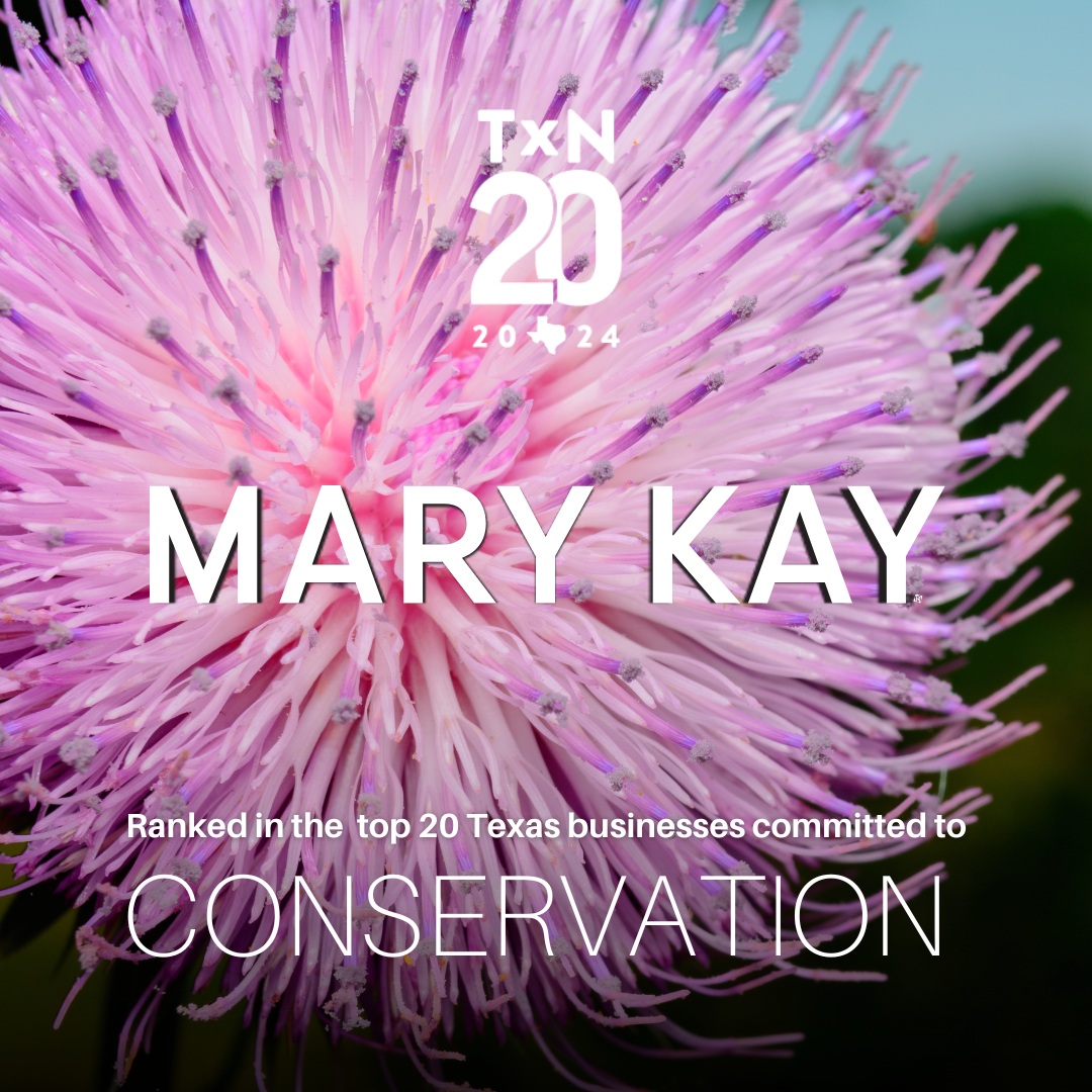 TxN20 2024 logo. "Mary Kay Ranked in the top 20 Texas businesses committed to conservation" Close up of a flower in the background.