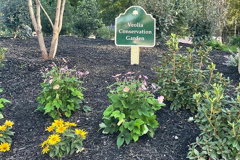 A garden with sign "Veolia conservation garden".