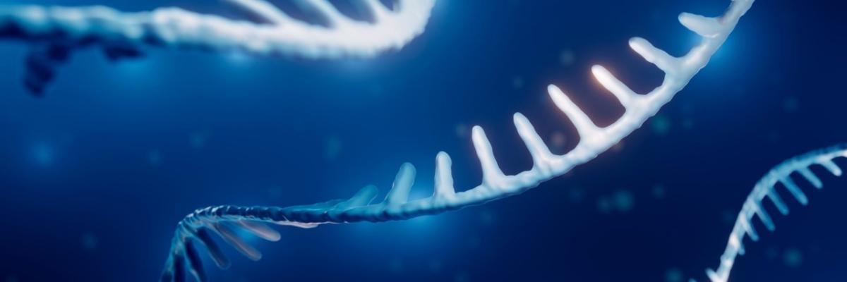 digital rendering of RNA strands in a blue background