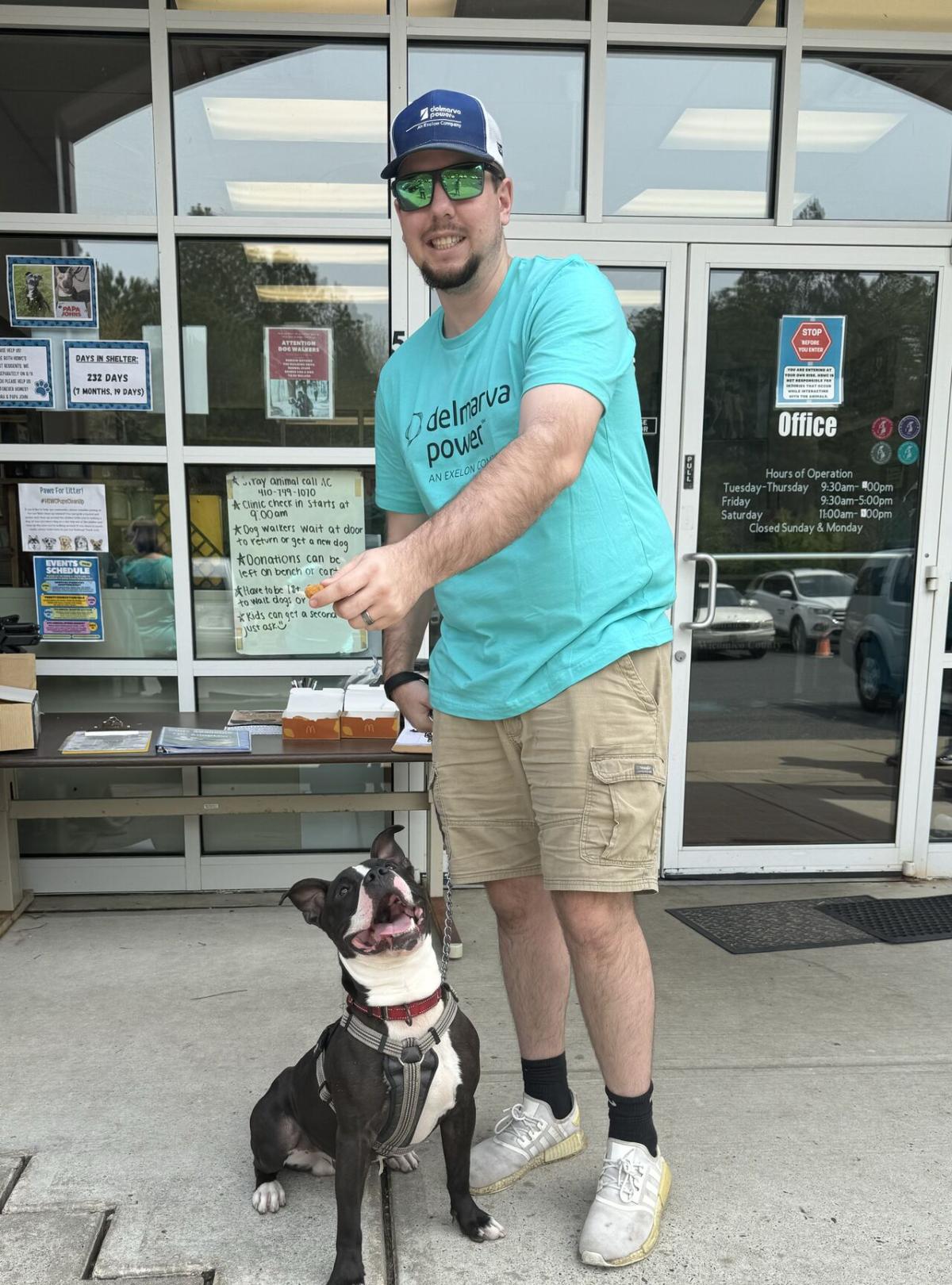 Volunteer walking a dog.