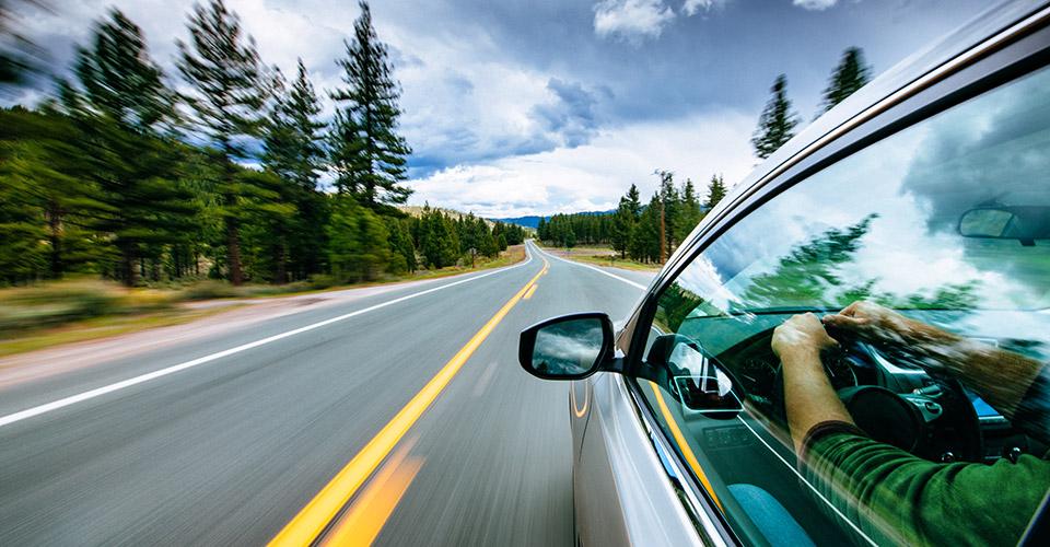  car driving on a woodland road