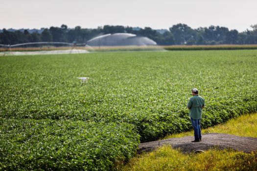 Farmer with drone