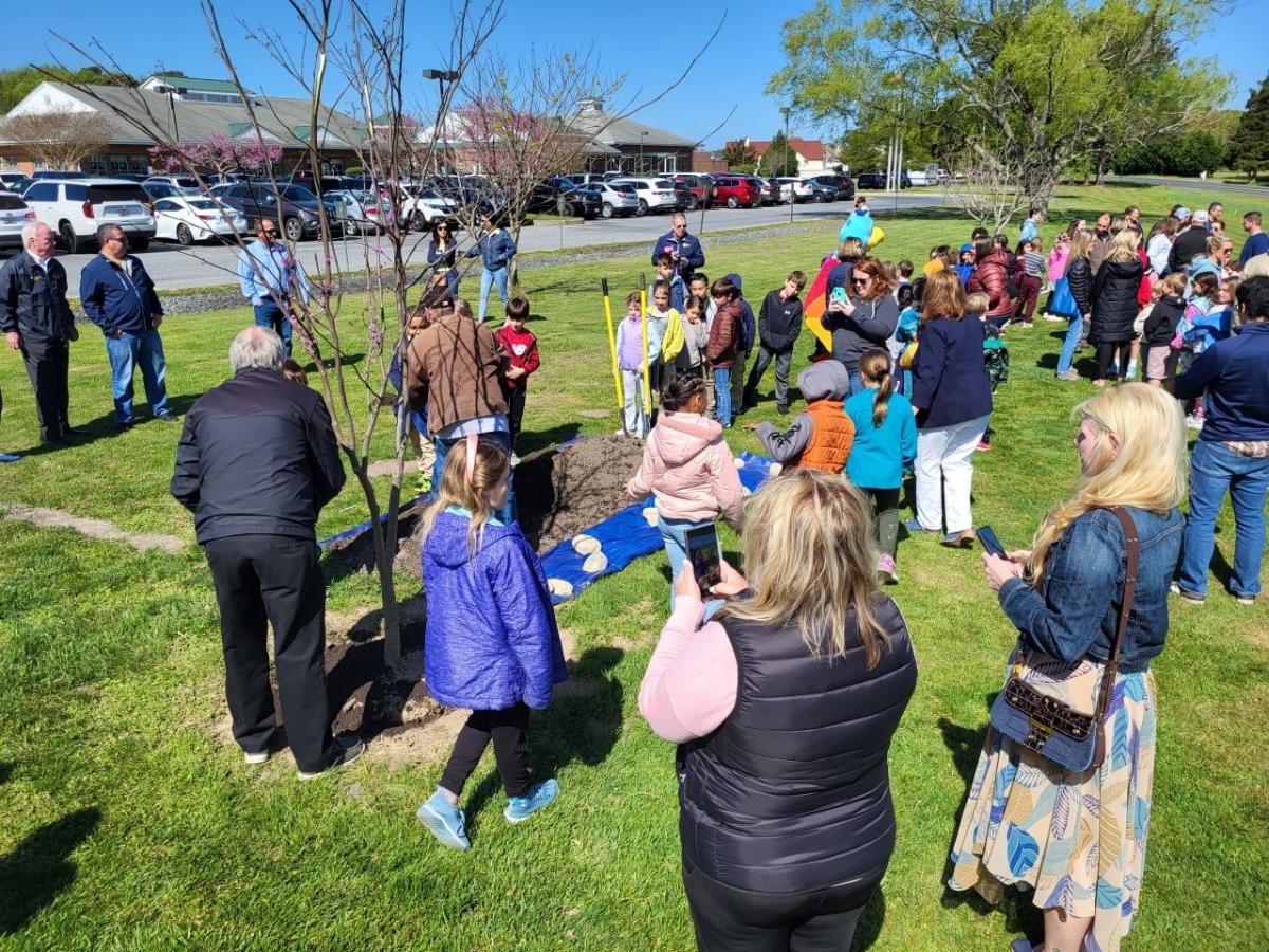 A group of people watching as some plant a tree.