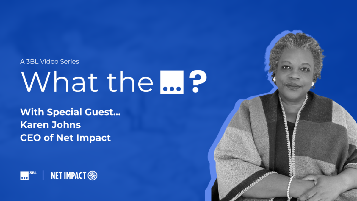 What the...? With Special Guest... Karen Johns, CEO of Net Impact