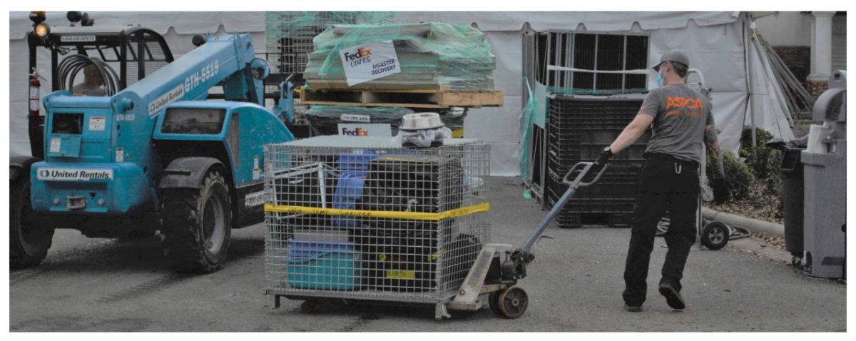 person pulling a transport cage of rescued animals