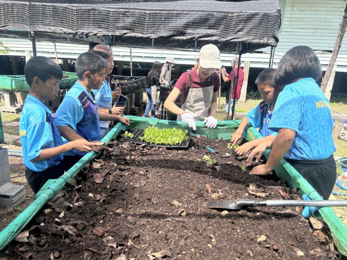 Planting a garden