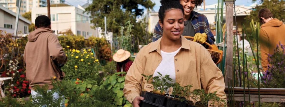 People navigating a garden, one holding a tray of seedlings.