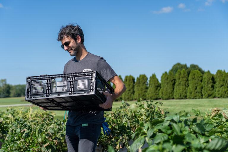 A person holding a black plastic crate in a garden.