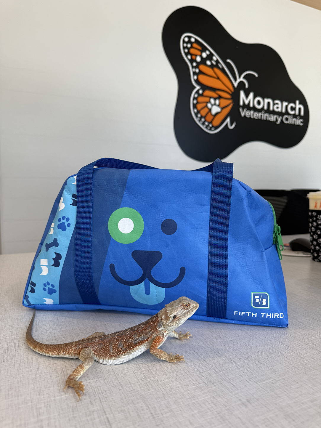 A lizard next to a Fifth Third bag