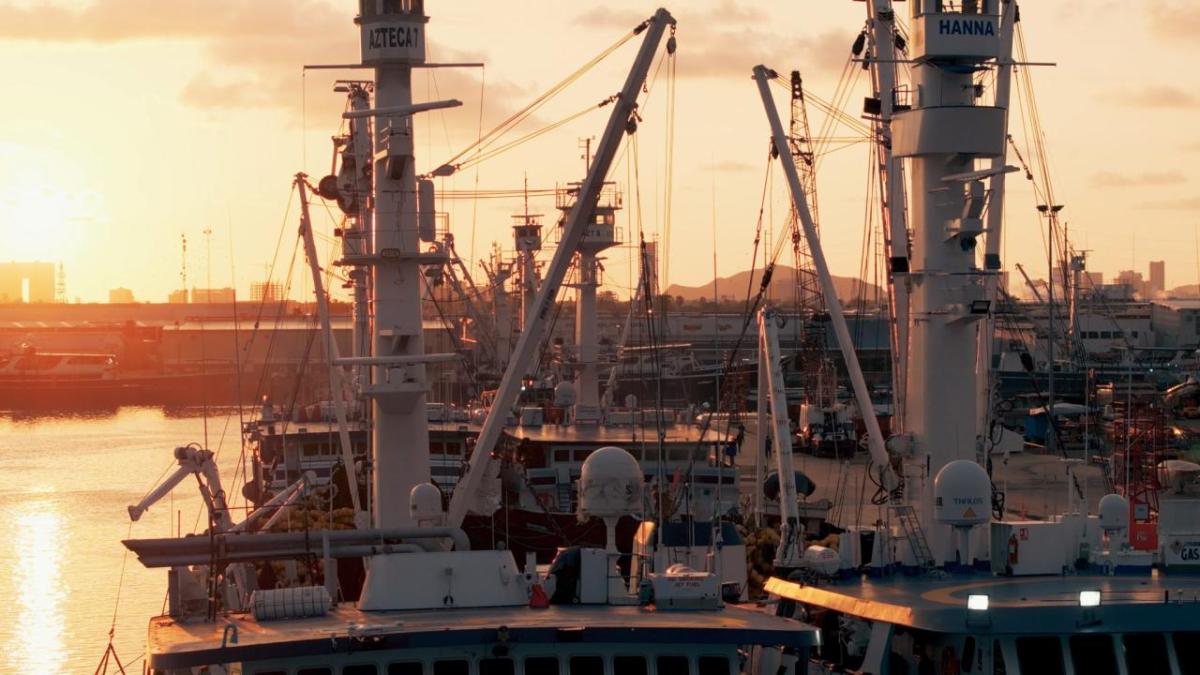 Aerial view of a fishing operation and sun setting in the distance.