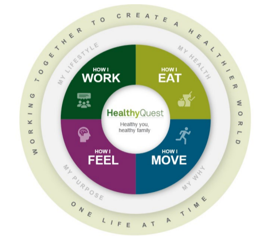 Info graphic pie-chart "HealthyQuest" central with four categories surrounding.