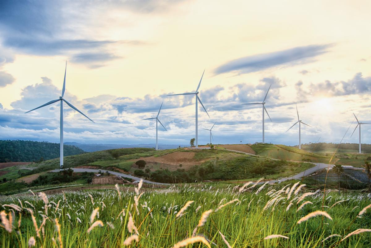 Field with wind turbines