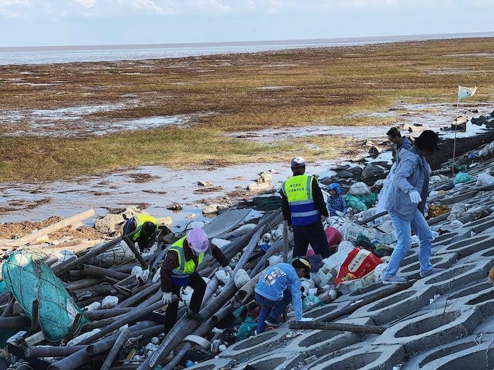 Volunteers in China clean up wetlands.