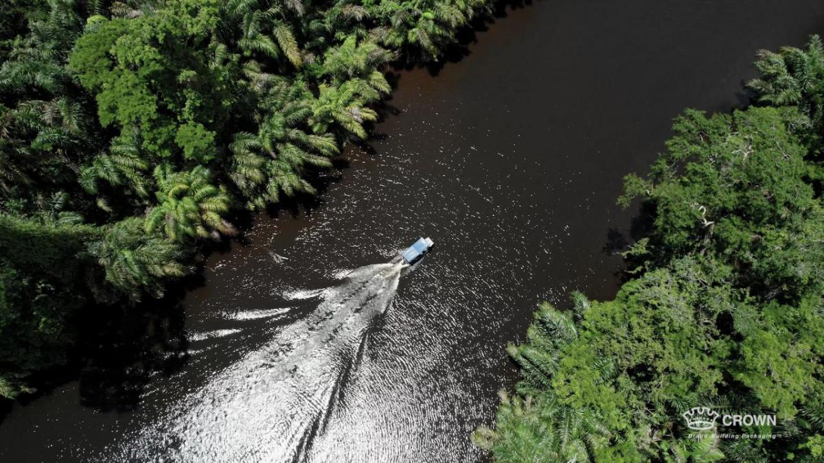 Aerial view of a boat going down a river in a forested area.