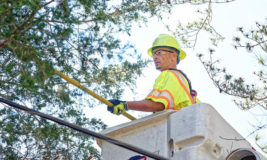 Joey Hunt trimming trees in a hard hat