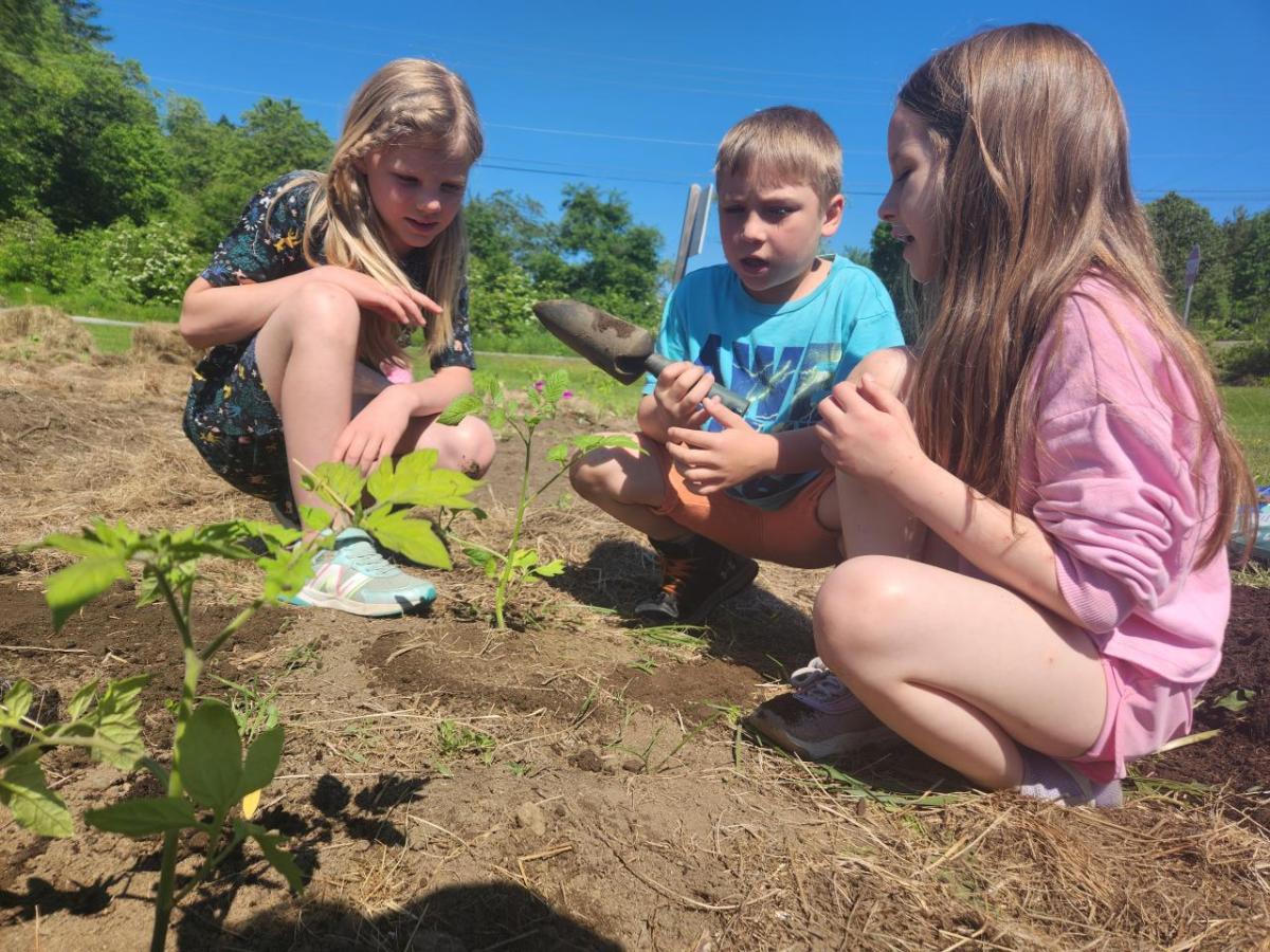 Three kids planting a seedling outside and talking