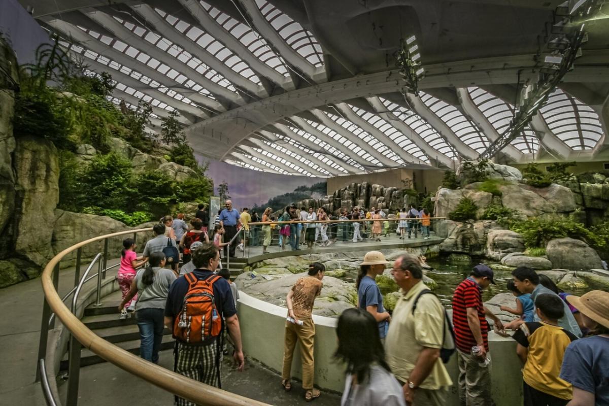 people visiting a display