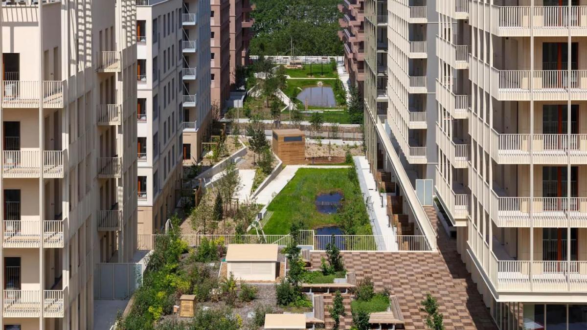 A green courtyard between residential buildings