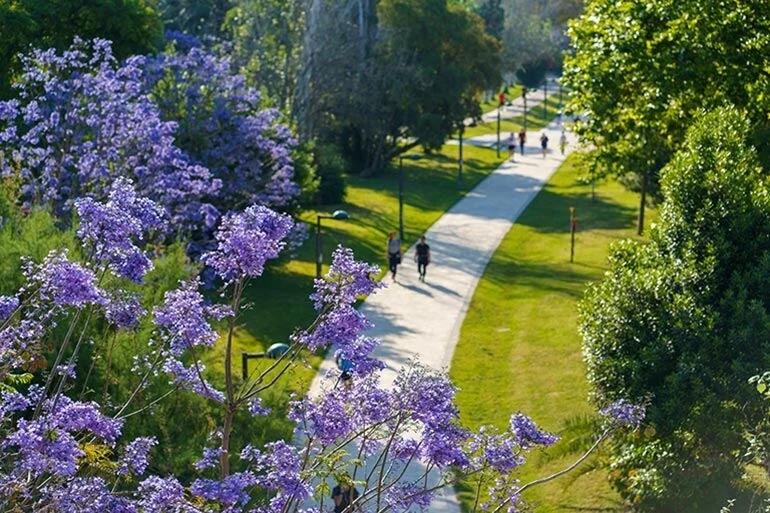 walking path