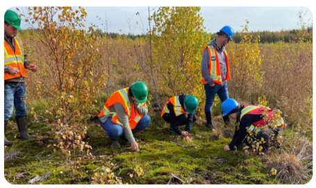 People in hard hats and high-vis vests, some crouched and inspecting the ground in a grassy area.