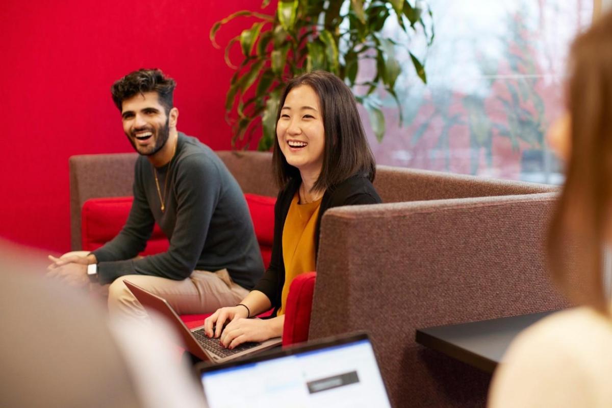 people sitting together and working