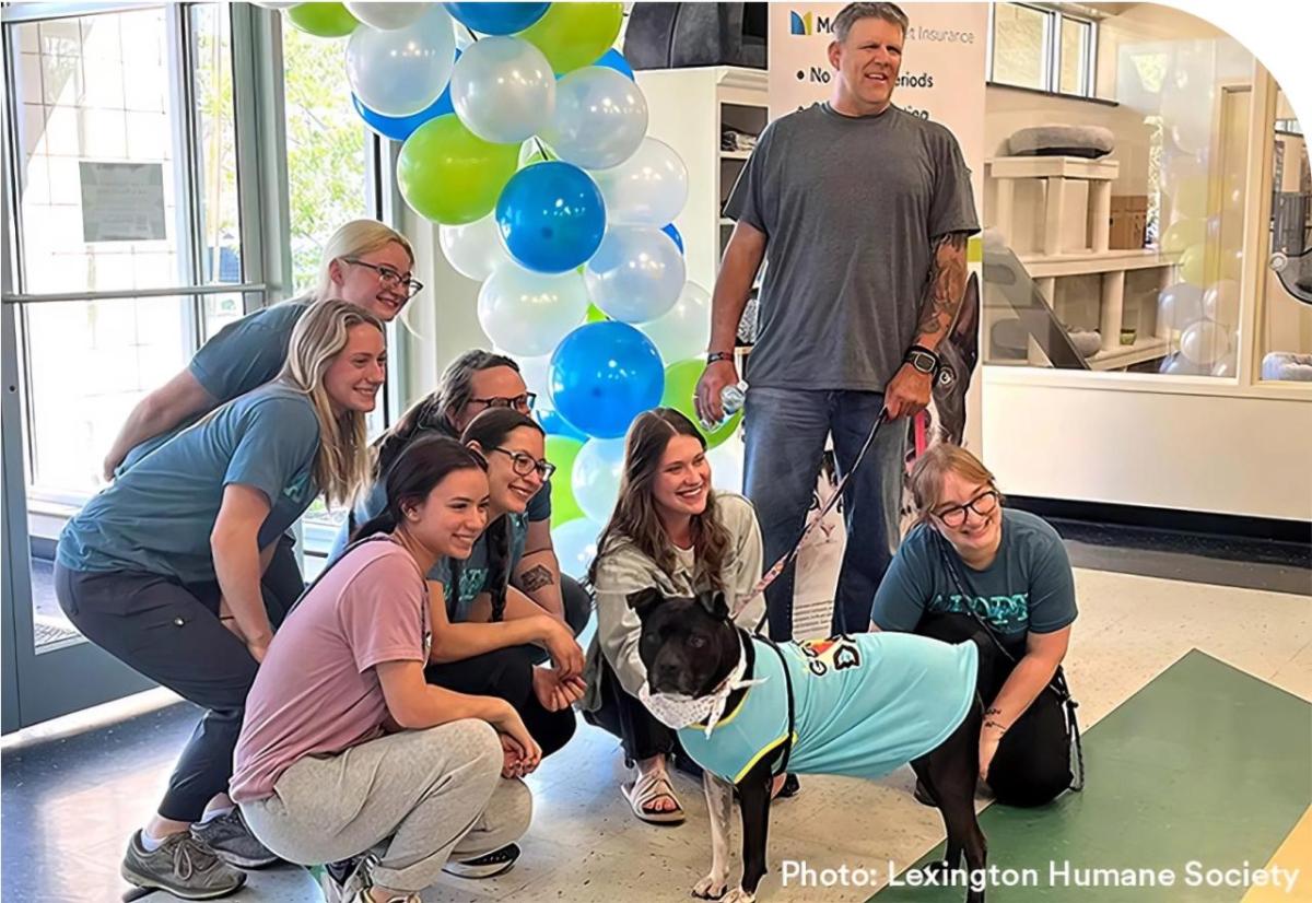 People stood with a dog in front of a balloon arch