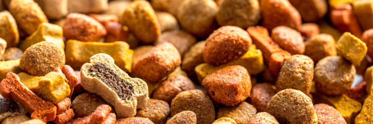 Close up of dry dog food