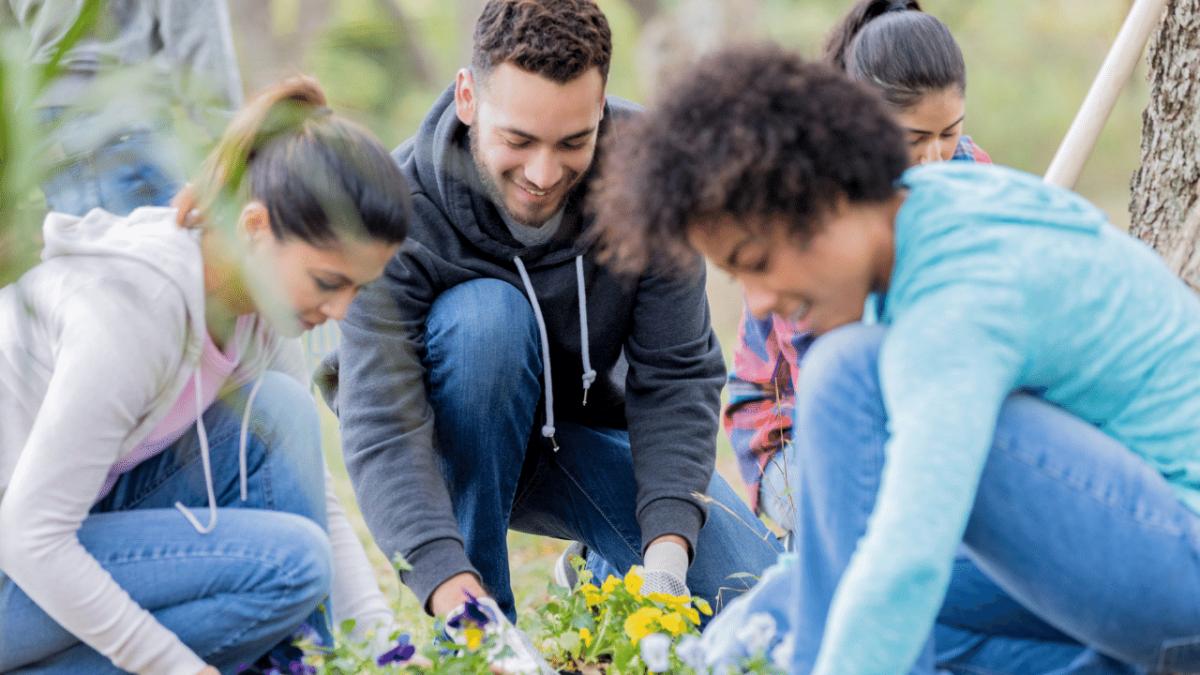 A group of people planting flowers outside.