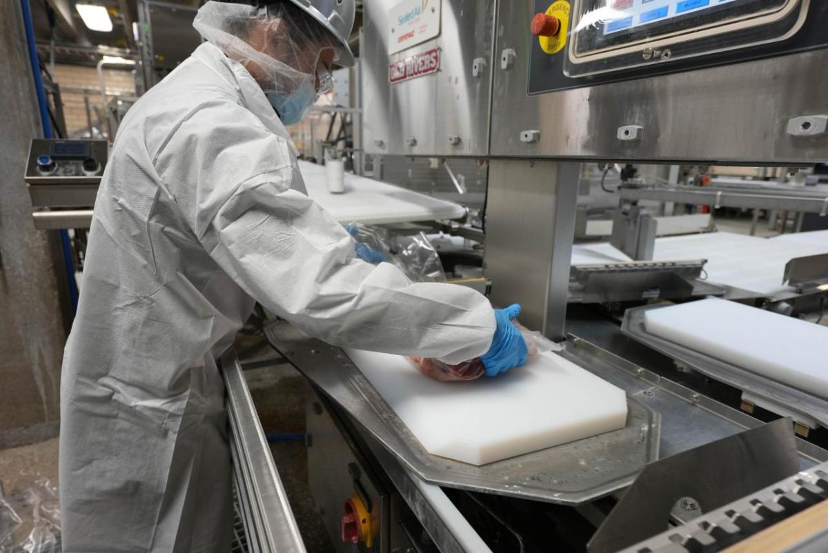 Food processing employee in white lab coat and blue gloves handles meat for packaging on a steel piece of equipment made for food packaging