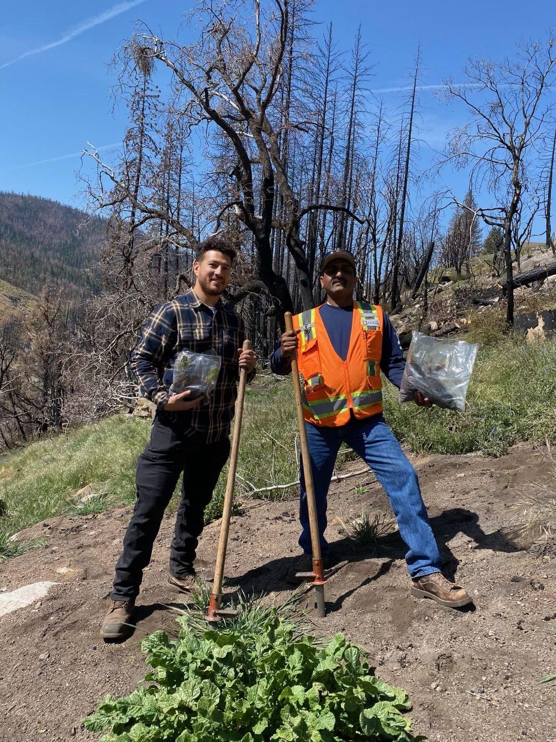 two volunteers pose with bags of seedlings and shovels in a dirt patch